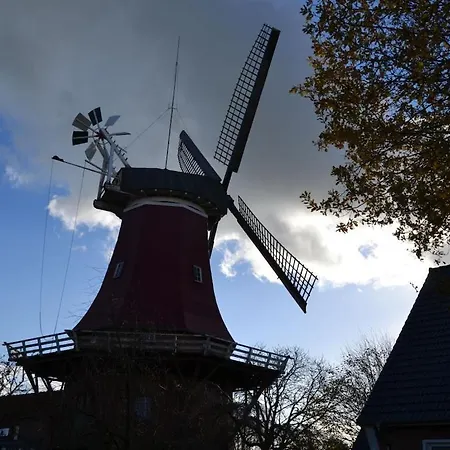 Greetsieler Scholle 1 -